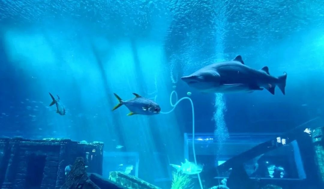 昆明旅行最值得打卡的十大景点,昆明周边湿地公园网红打卡地