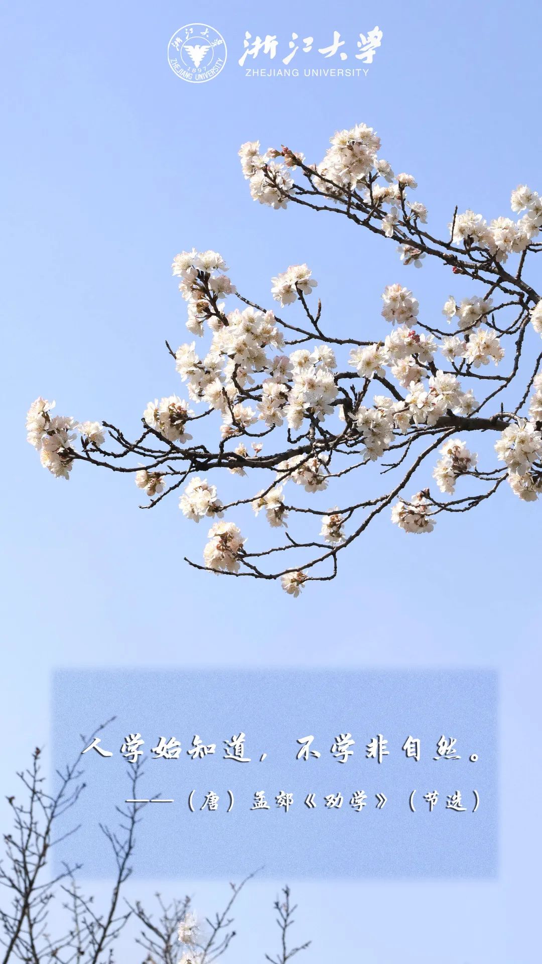 浙江大学中国最美校园,浙江大学玉泉校区校园