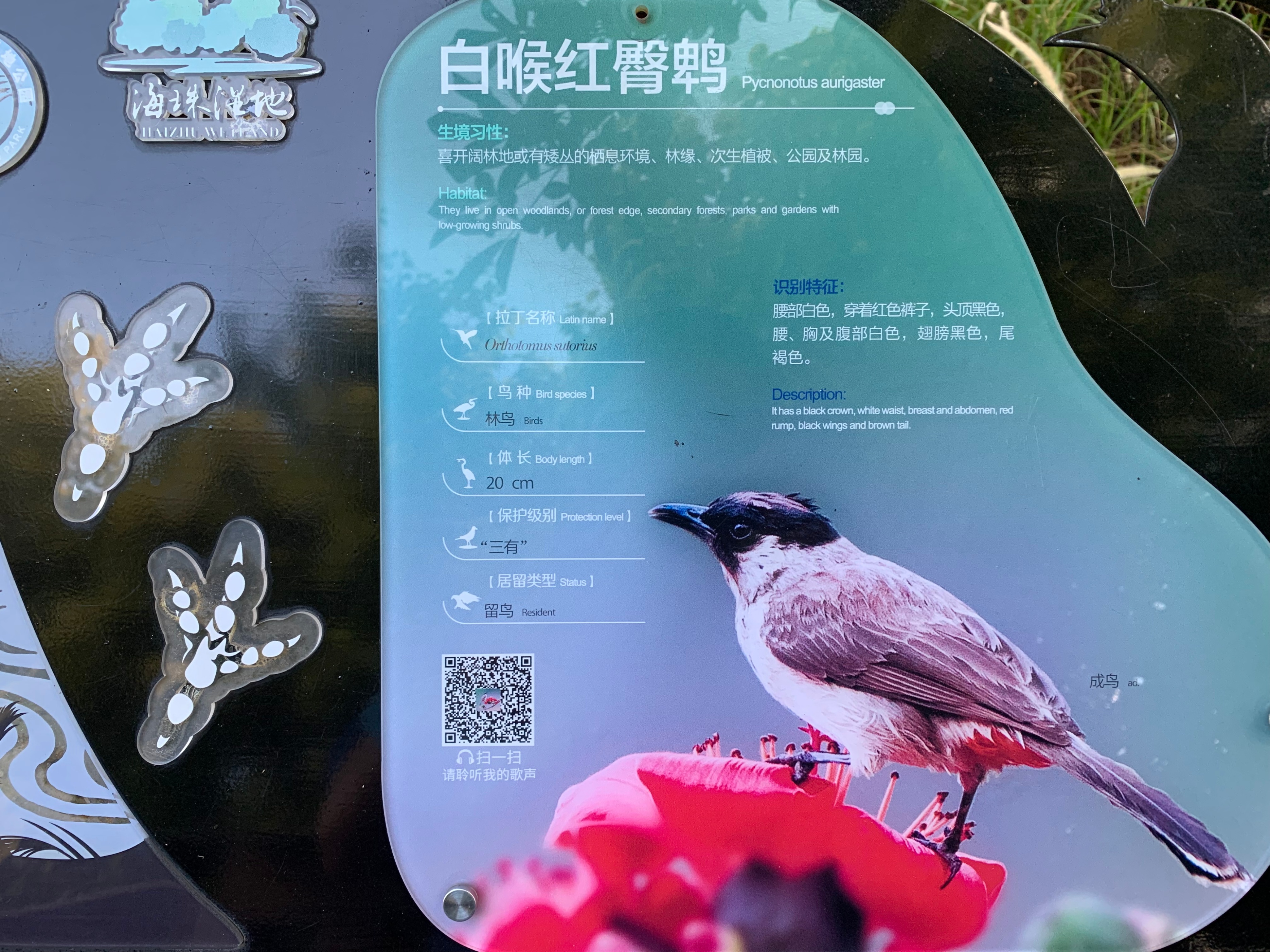 2022海珠湖公园春节游玩,海珠湖湿地公园最佳游玩时间