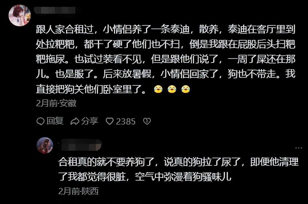 合租神仙室友,盘点合租室友的搞笑生活