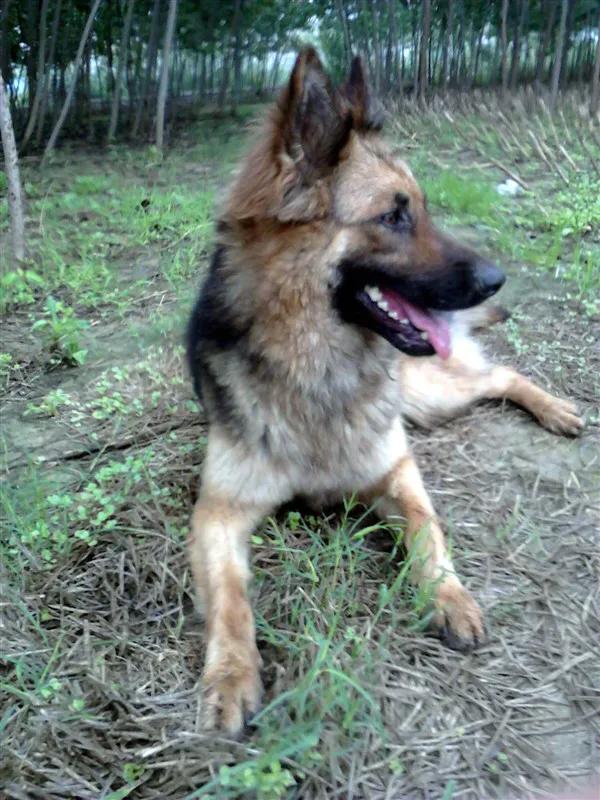 世上只有妈妈好爸爸也不错,世上只有妈妈好爸爸不好吗