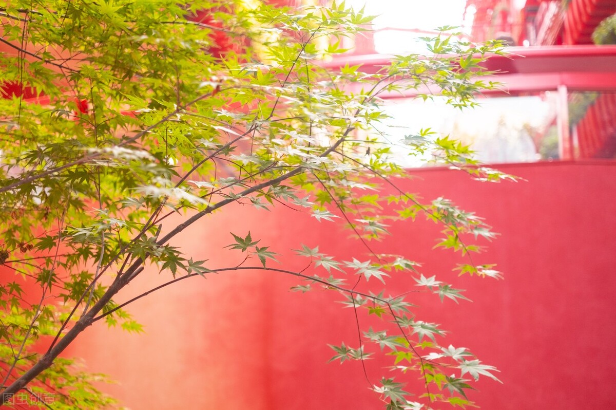 情侣的攒钱技巧是什么呢,各种攒钱小技巧