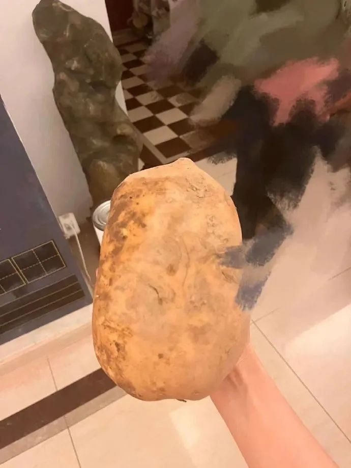 “男票打篮球裤子被队友扒了...”哈哈哈哈救命一整个社死了