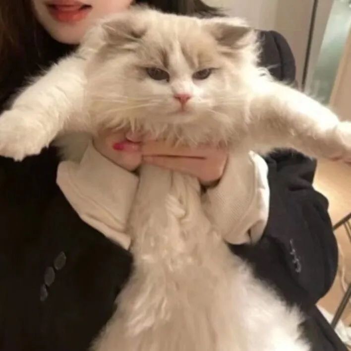 情侣头像动漫头像,头像该换了