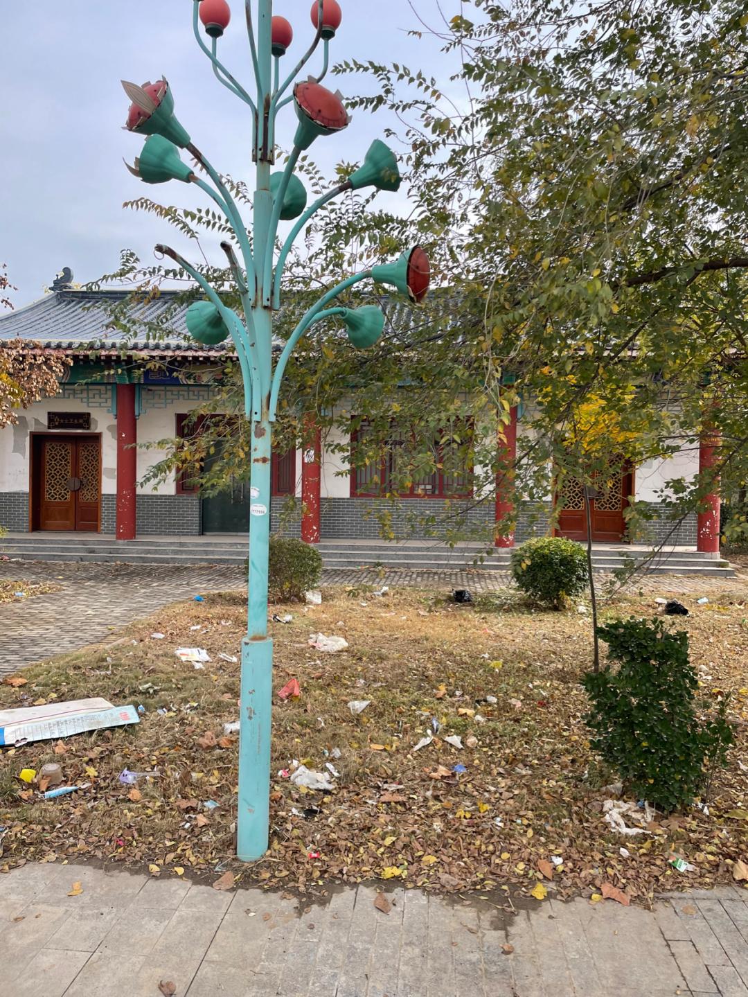 董董骑行山东,懂懂骑山东