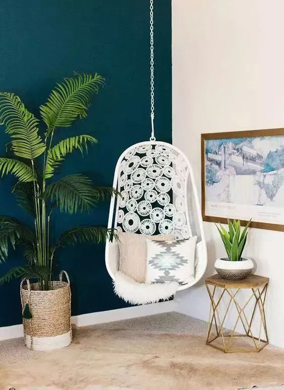 种什么蔬菜可吸甲醛,适合家庭种植的除甲醛植物