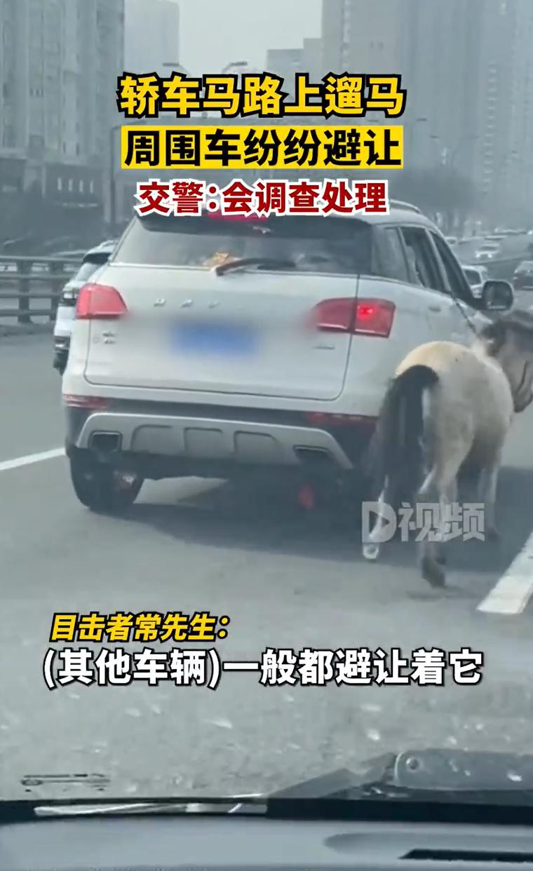 临汾新闻三个一批,临汾吉县壶口瀑布2020年开放时间