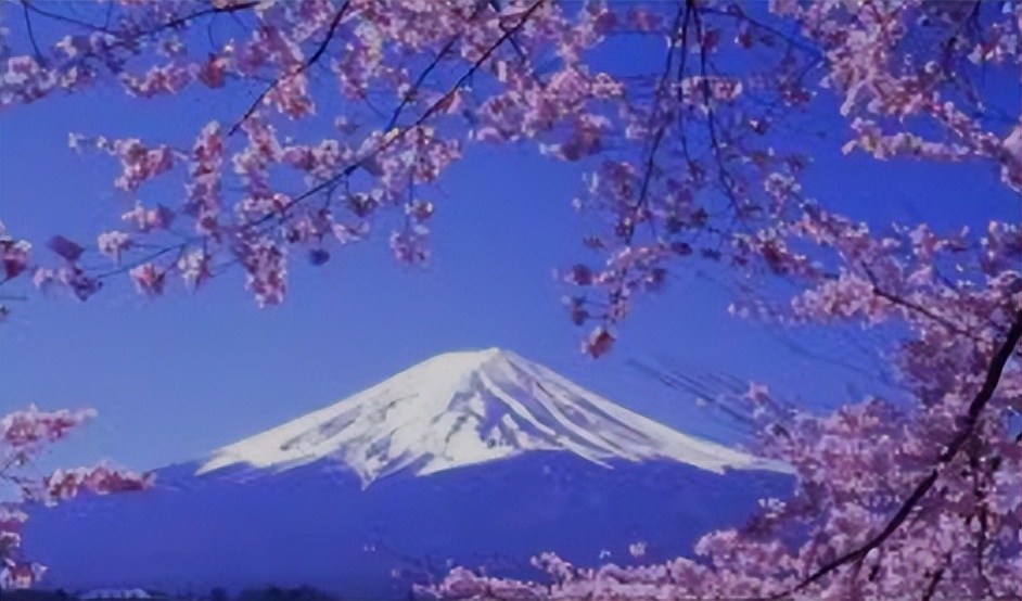 日本出境自助游五日游攻略,出国自由行日本旅游攻略