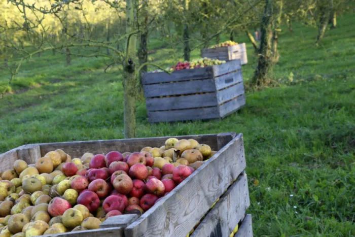 不容错过法国红酒,不容错过的精彩时刻