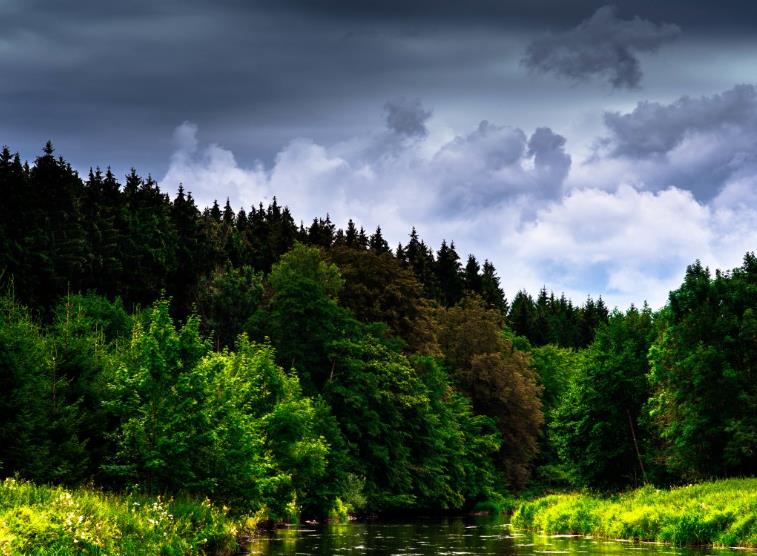 ienglish托普朗宁广州,托普朗宁ienglish利润多少