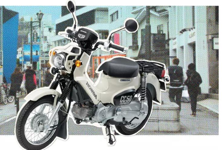 二轮考古学-本田幼兽编年史合集（1952-今）