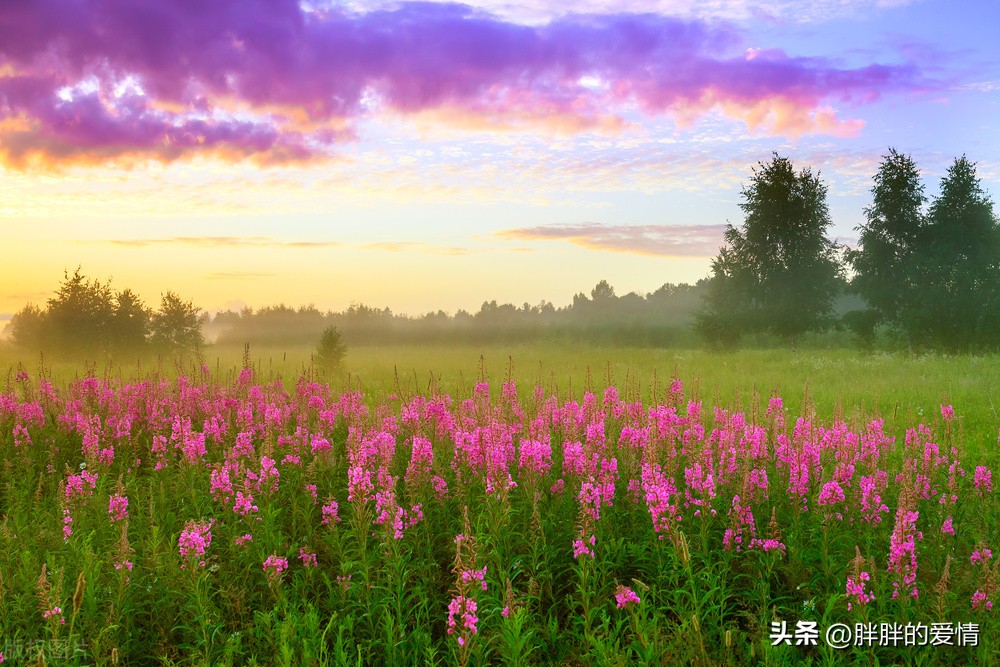 一个人最大的破产是失望,为什么说最大的破产是绝望