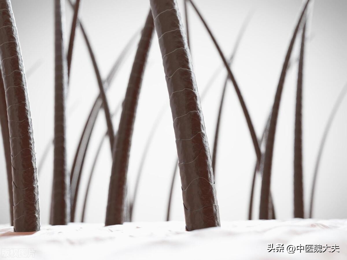 为什么有的人“下面”没毛？女性*处私**毛发的3个作用，别害羞