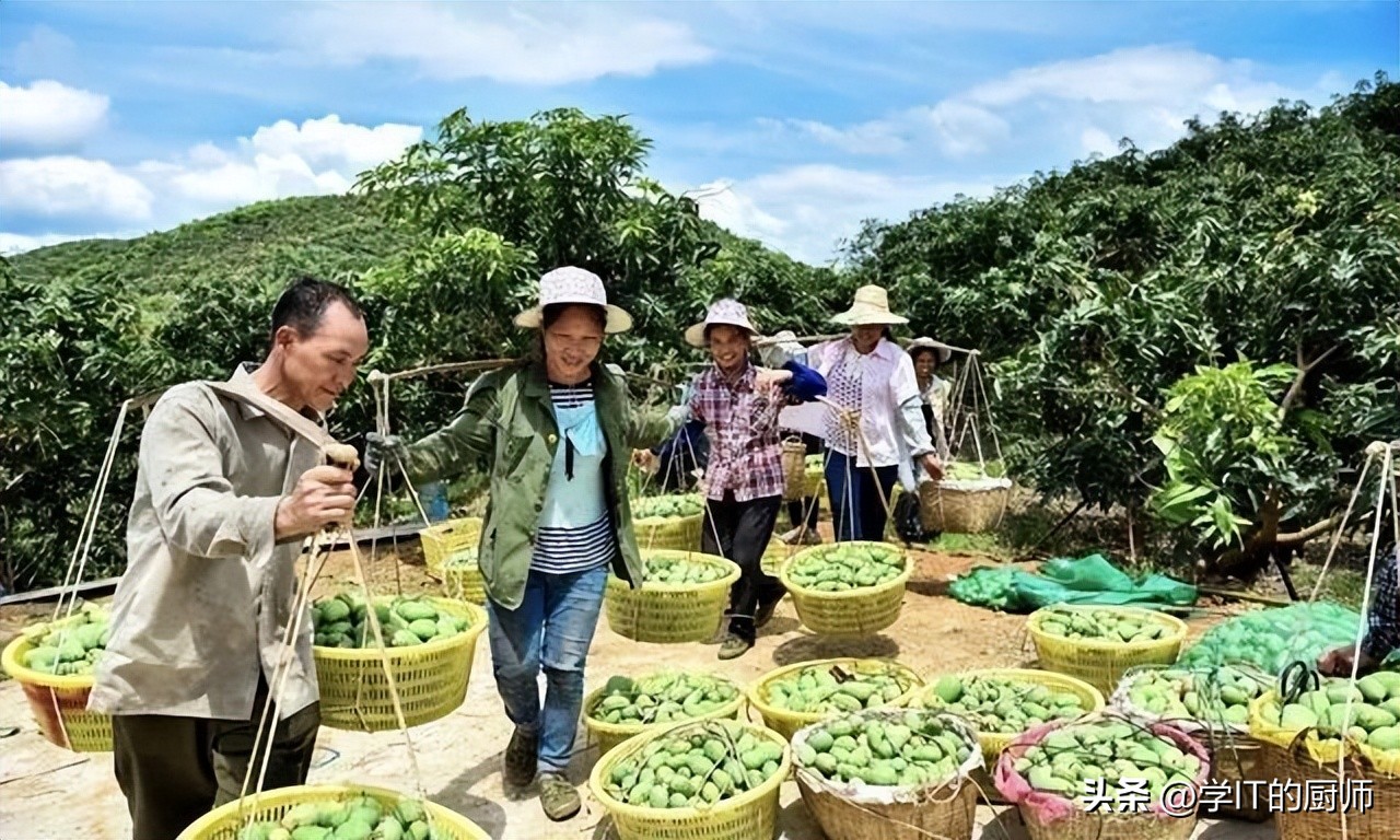 chatgpt营销产品,chatgpt分析农产品产量
