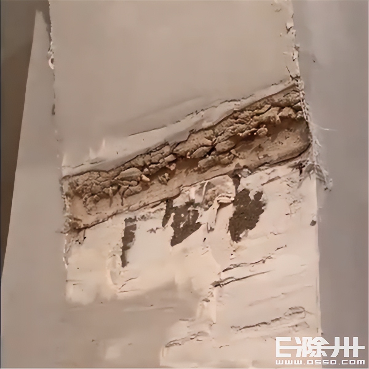 木工拱门效果,大木工拱门效果图