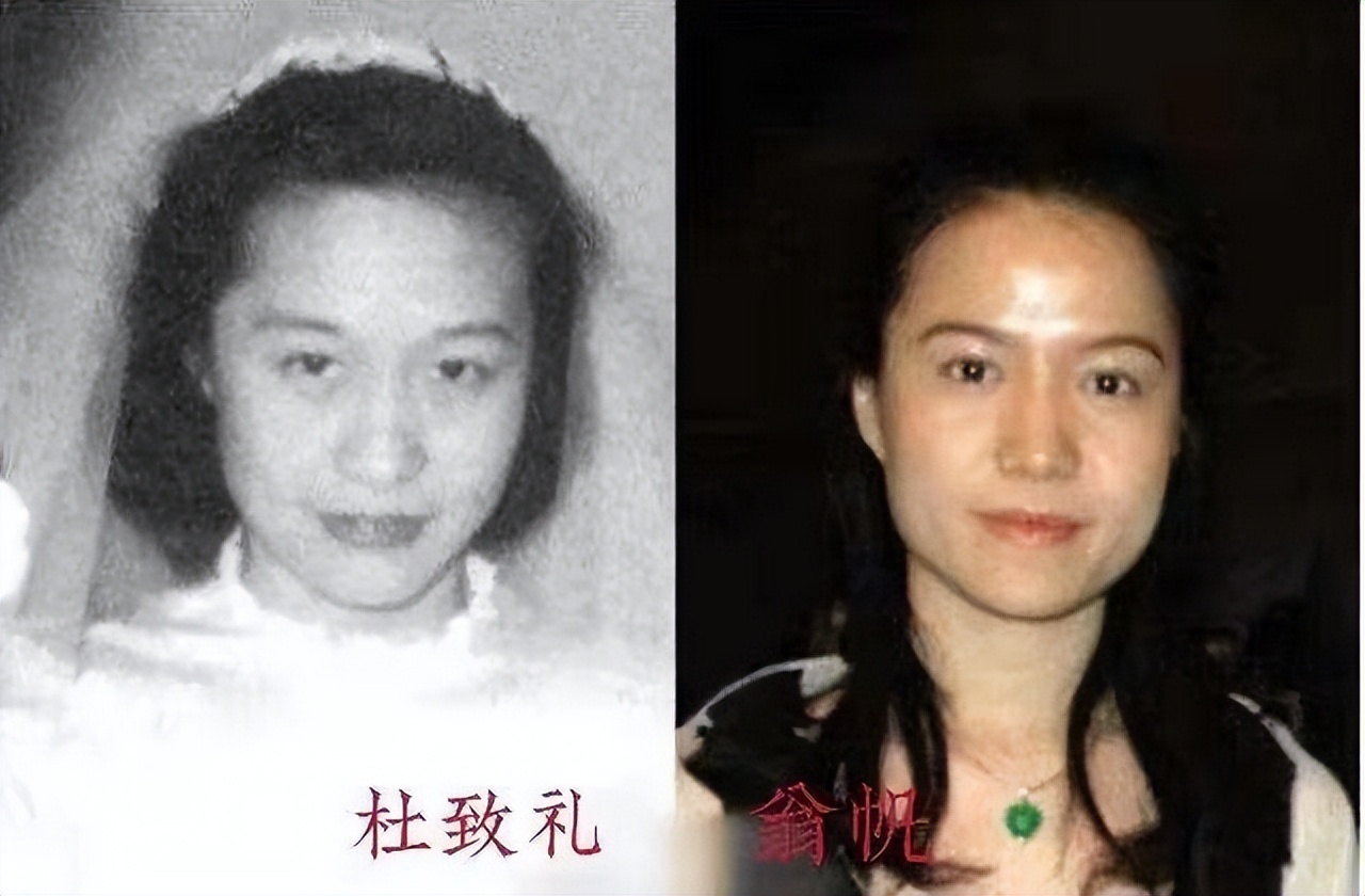 翁帆含泪说出嫁给杨振宁的缘由,翁帆嫁给大自己54岁的杨振宁原因