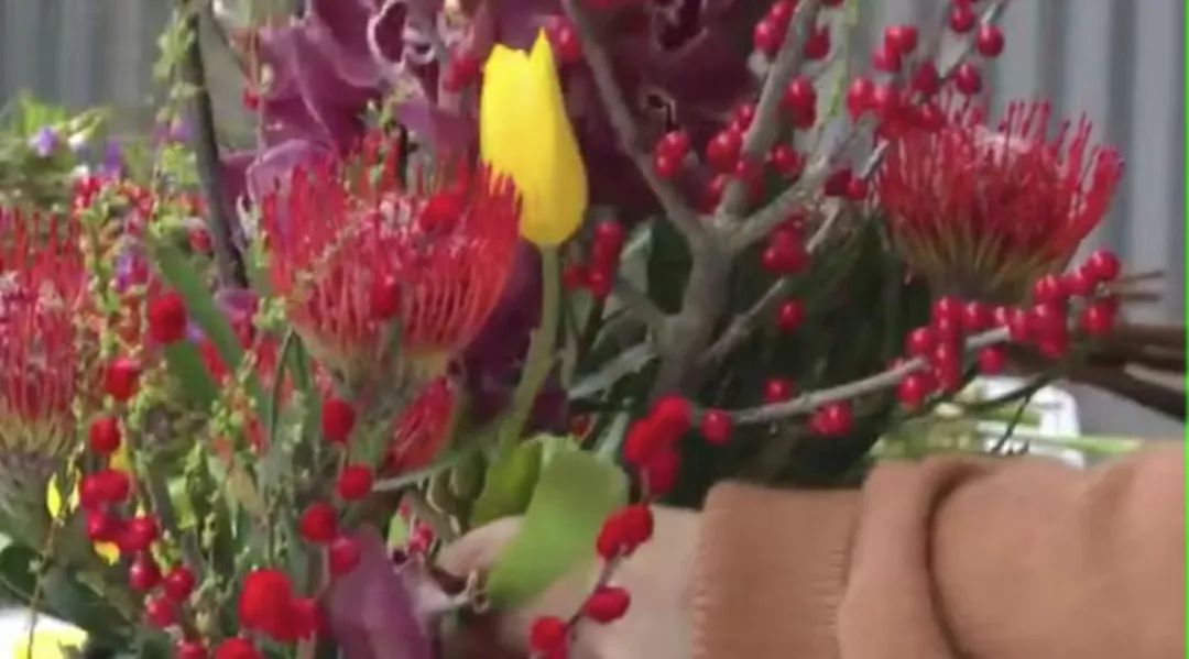 花点时间蝴蝶兰插花,手把手教你学插花