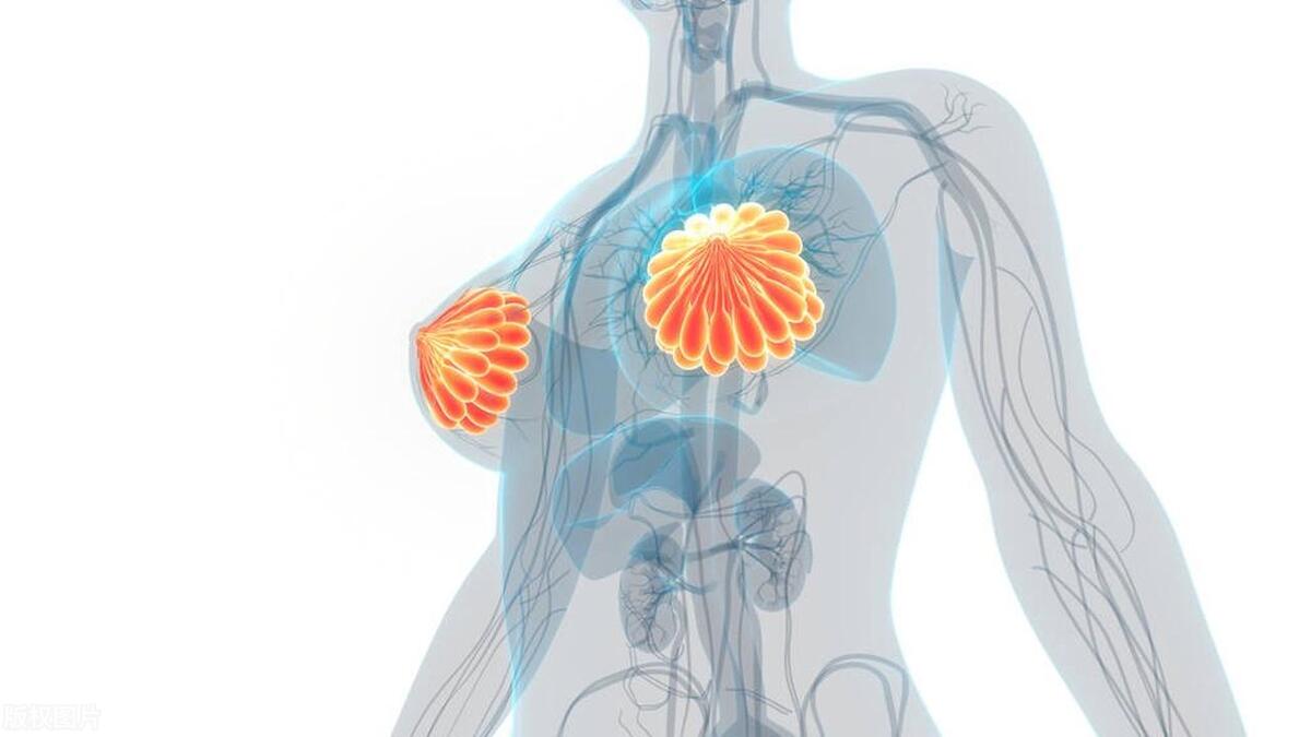 女性的胸，为啥不能乱揉？医生提醒：乱揉或与这4个危害有关。