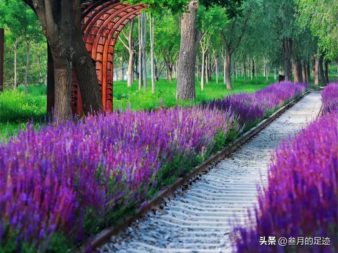 北京有哪些免费的大型公园,北京有铁道的公园