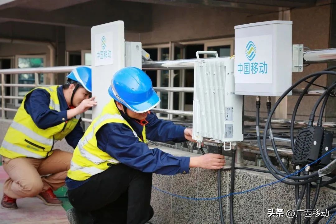 有一种姿势叫杨幂的坐姿,有一种姿势叫昂首议论文