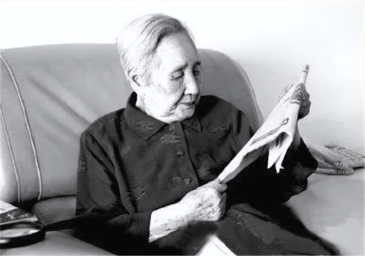 1997年重庆老妇访问朝鲜，祭拜金日成后，提出了一个大胆的建议