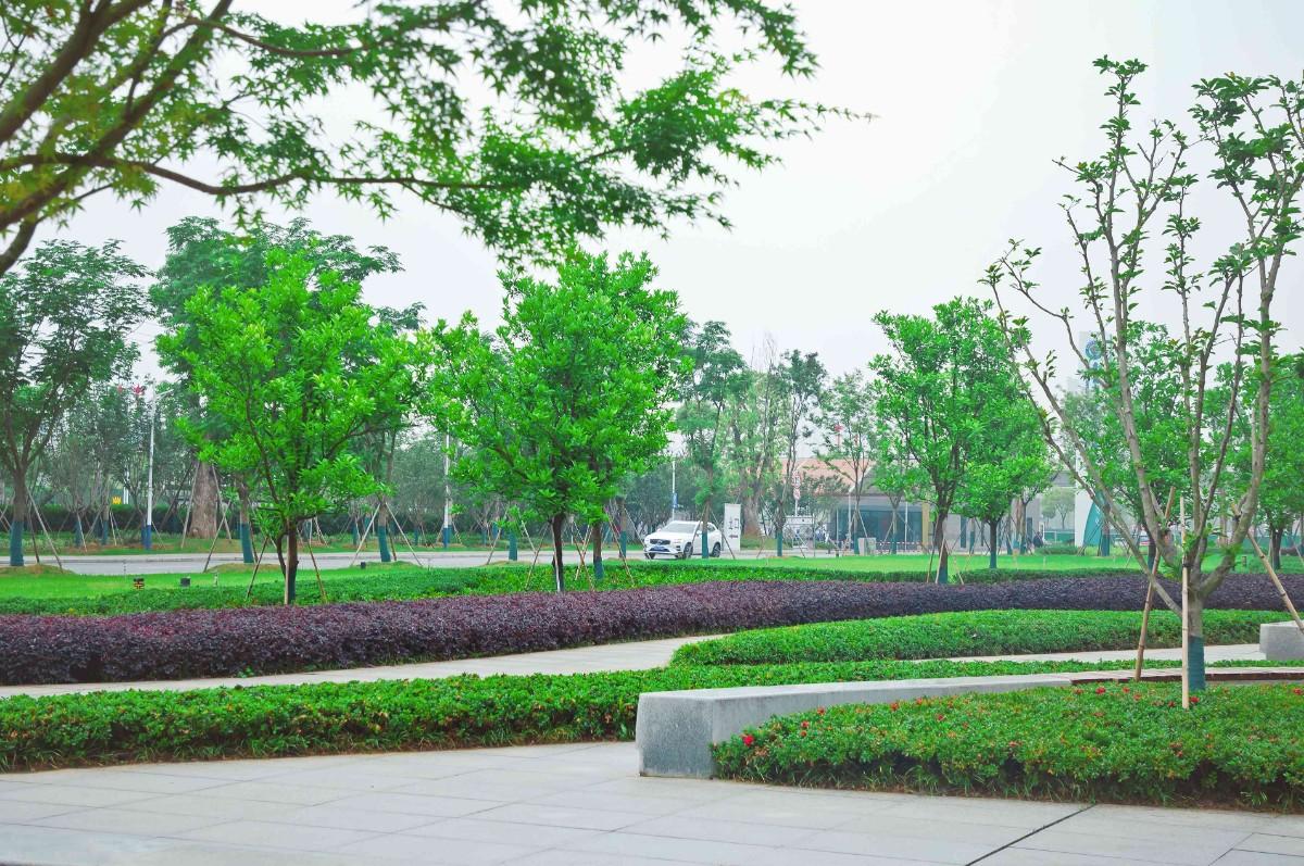 南昌大学第一附属医院象湖分院发展,南昌象湖第一附属医院周边规划