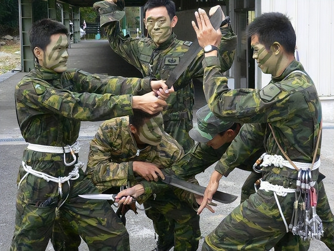 台军军事专家分析,军事专家说台军战力