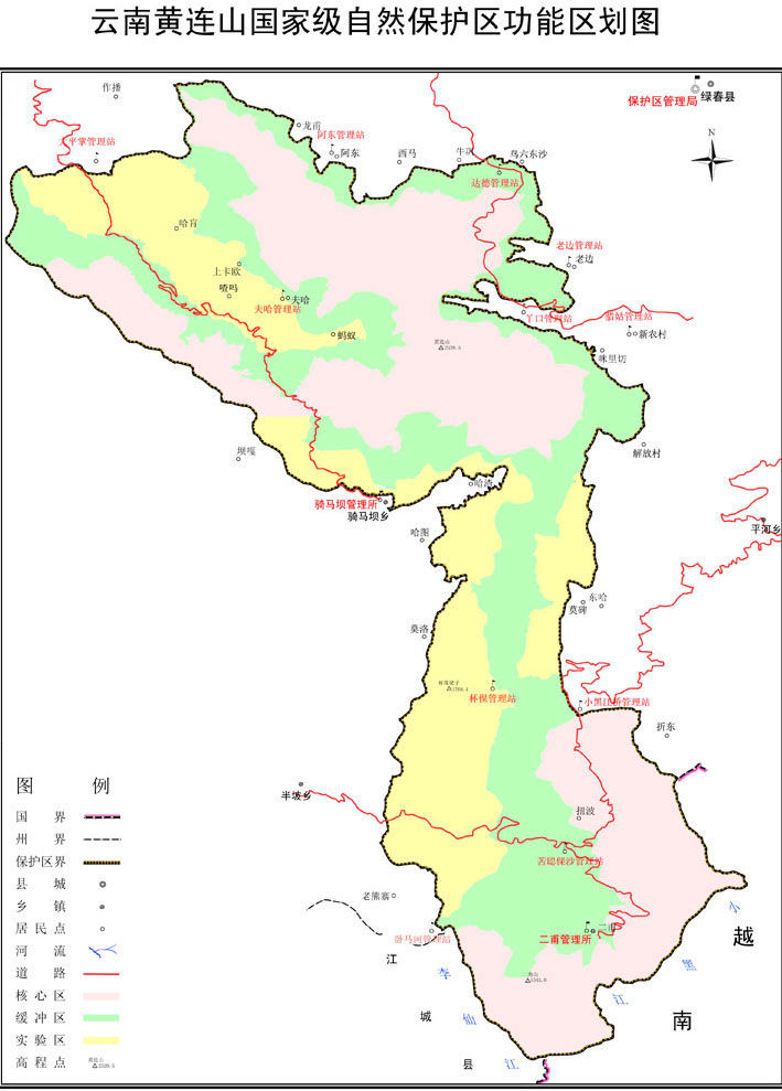 唾液含剧毒的五爪金龙现身云南,云南现两种极危物种五爪金龙