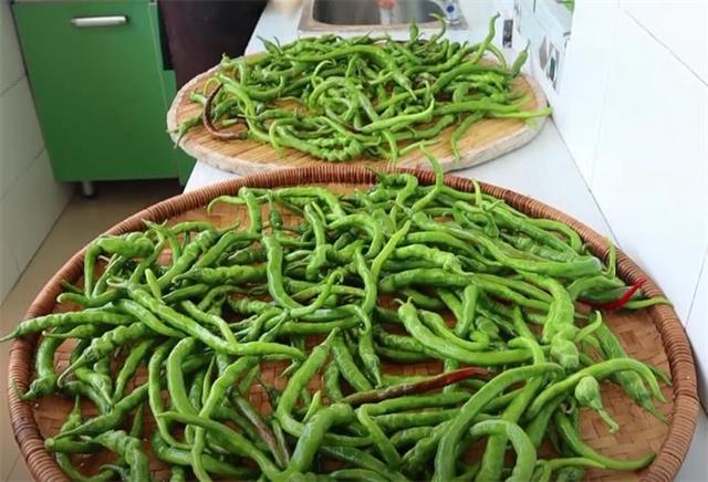 现在季节腌辣椒的正宗腌制方法,腌辣椒10斤的正宗腌制方法