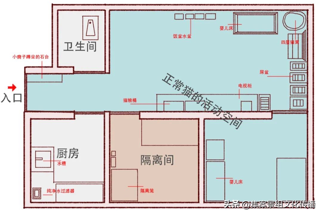 找到那只猫 (睡不着的坏猫)