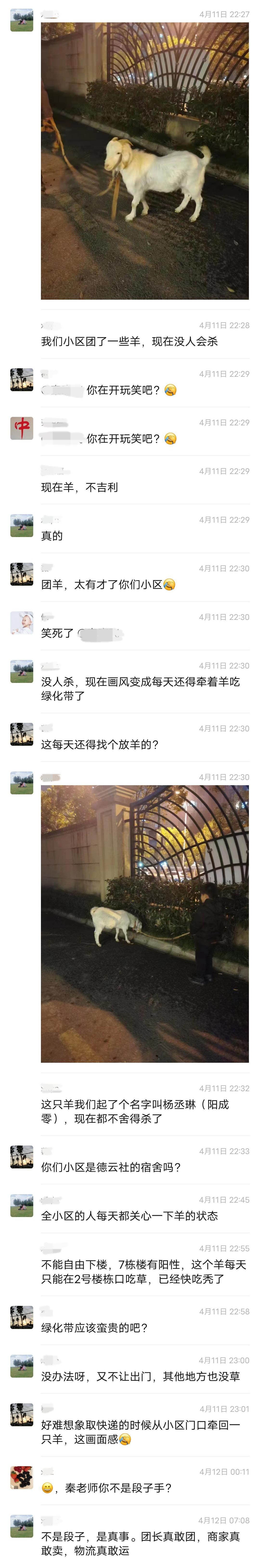 “曝光朋友圈代购聊天记录！！”哈哈哈哈哈哈这是什么社死现场啊