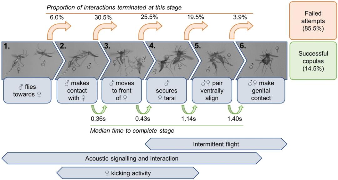 灭蚊小妙招姜,灭蚊小妙招用臭脚熏死蚊子