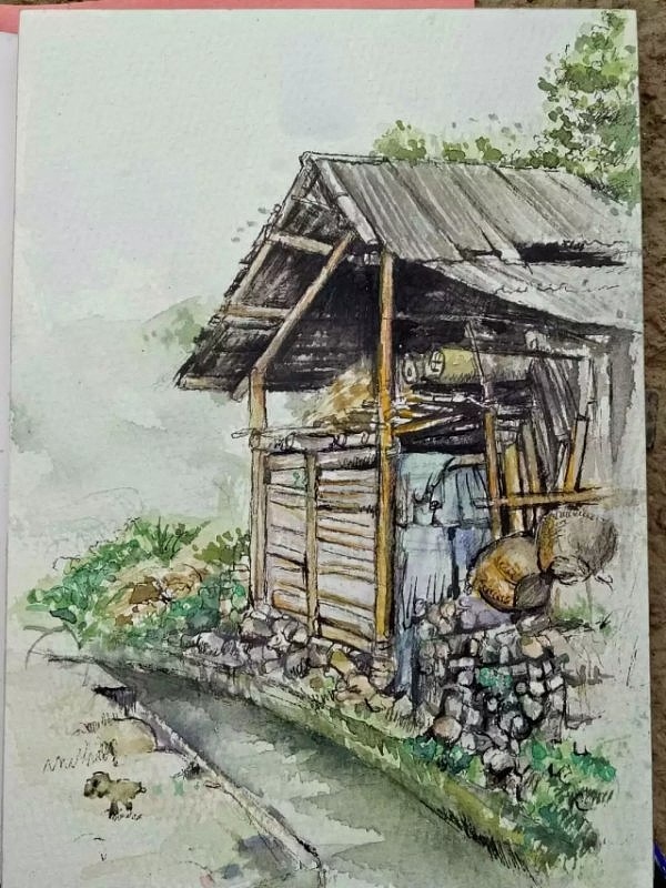 写生画是什么意思,写生意思是什么