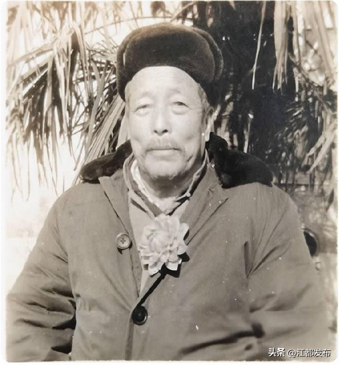 季德胜蛇王视频,季德胜蛇药片治大出血