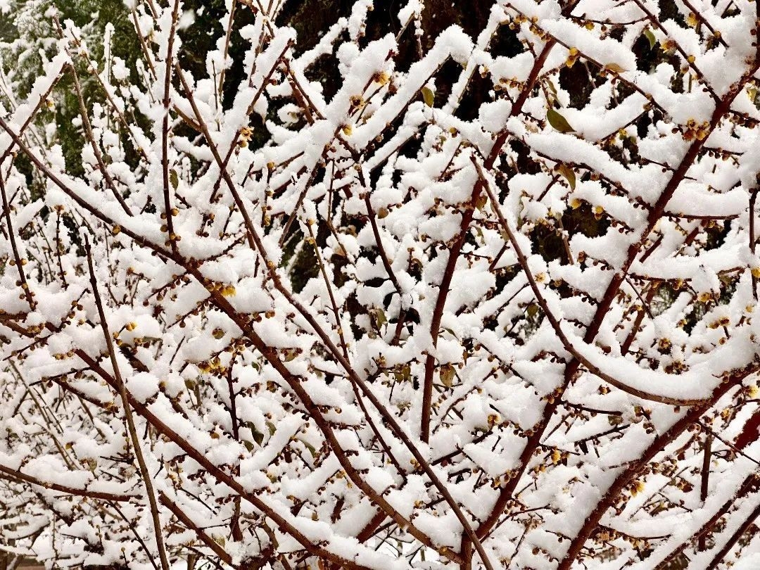 石家庄下雨哪里风景最美,石家庄冬季风景好的地方
