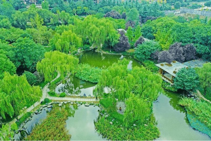 西安高新区艺术区,西安高新区公园