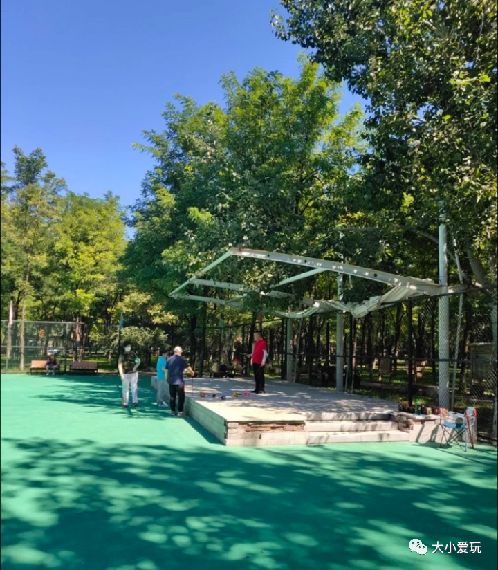 北京赏秋打卡地银杏大道,北京10条最值得打卡赏红叶线路