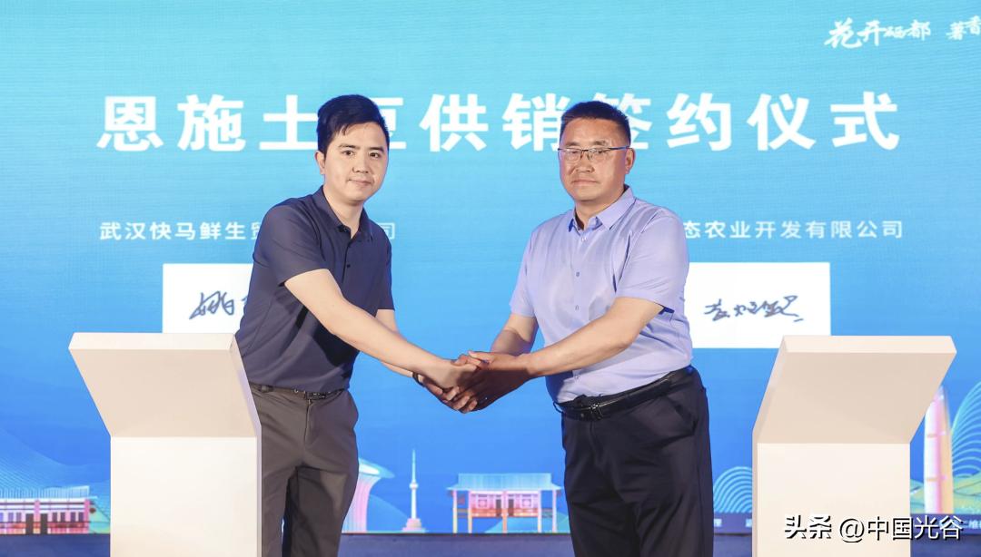 湖北恩施土豆成网红,恩施富硒土豆宣传