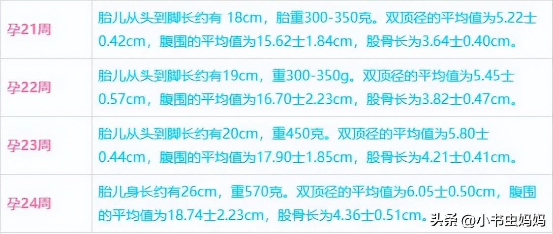 孕6个月宝宝什么样子,孕六个月的胎宝宝有多大