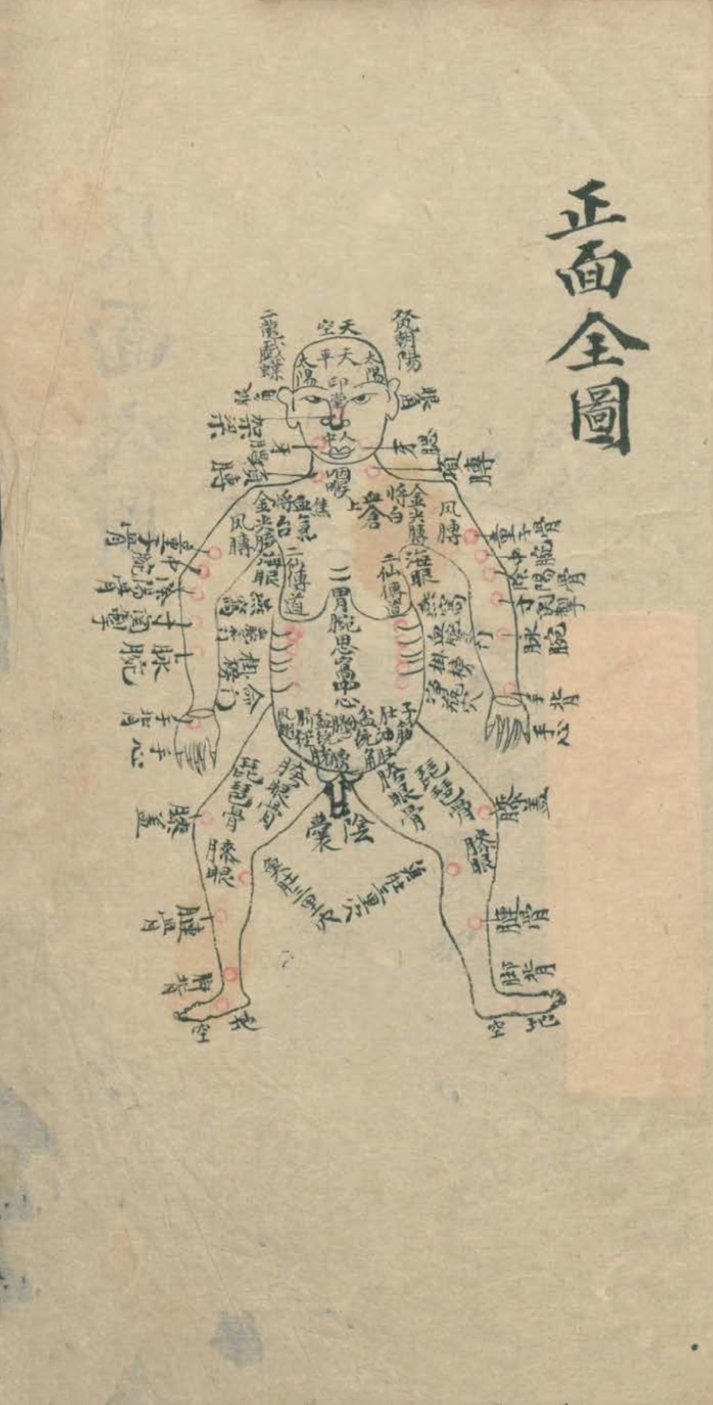 最实用的跌打药方,祖传跌打秘方100首
