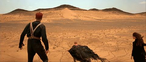 圣甲虫吃掉木乃伊,可怕的木乃伊圣甲虫