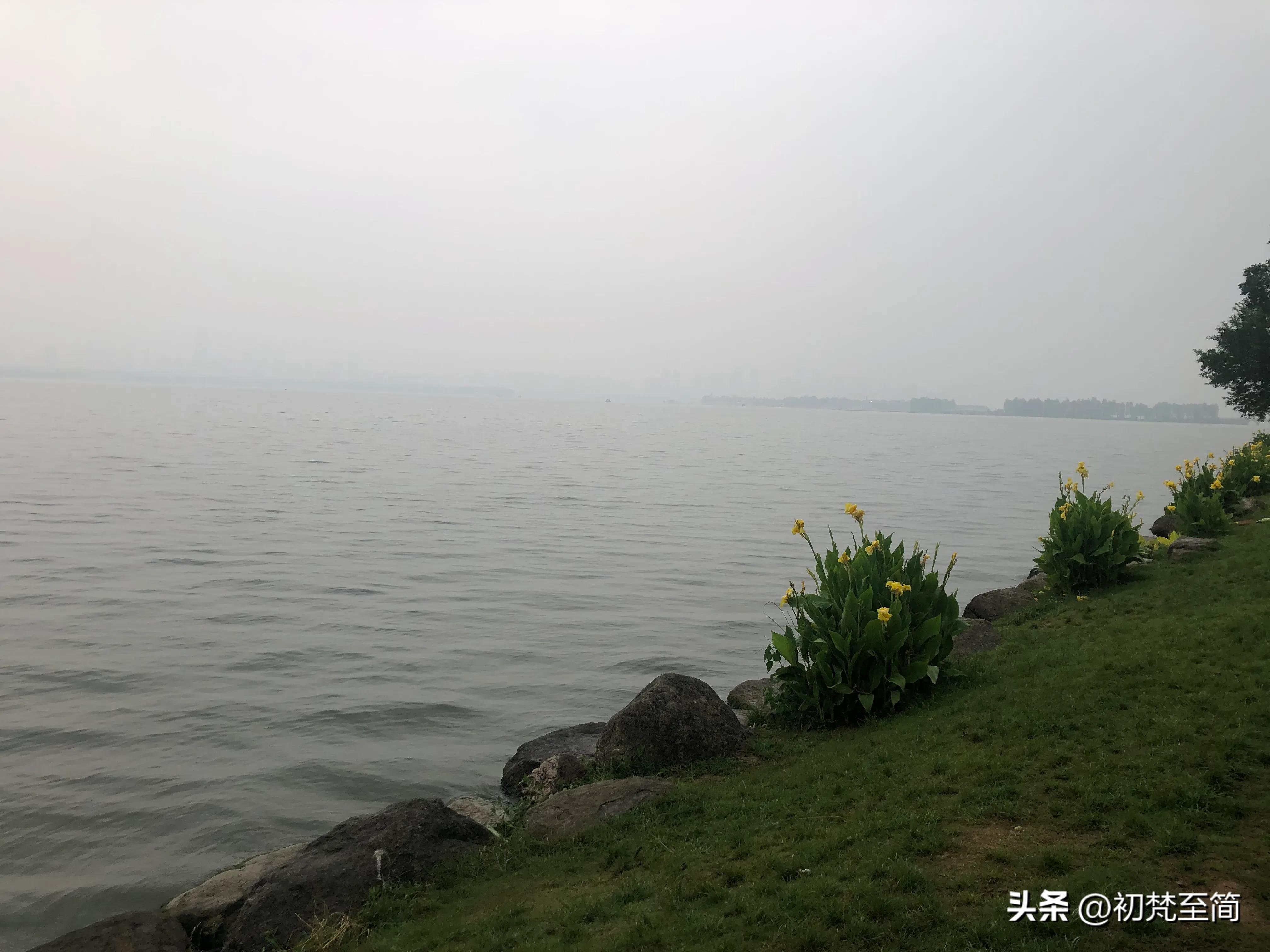 雨中的湖畔风景,雨中的湖畔山色