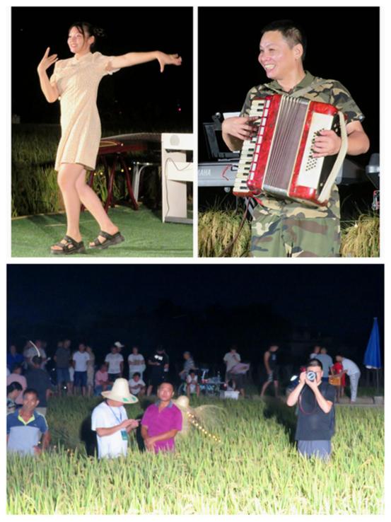 漓江边的“水淹田”,不仅是“稻坚强”,竟还传出天籁之音