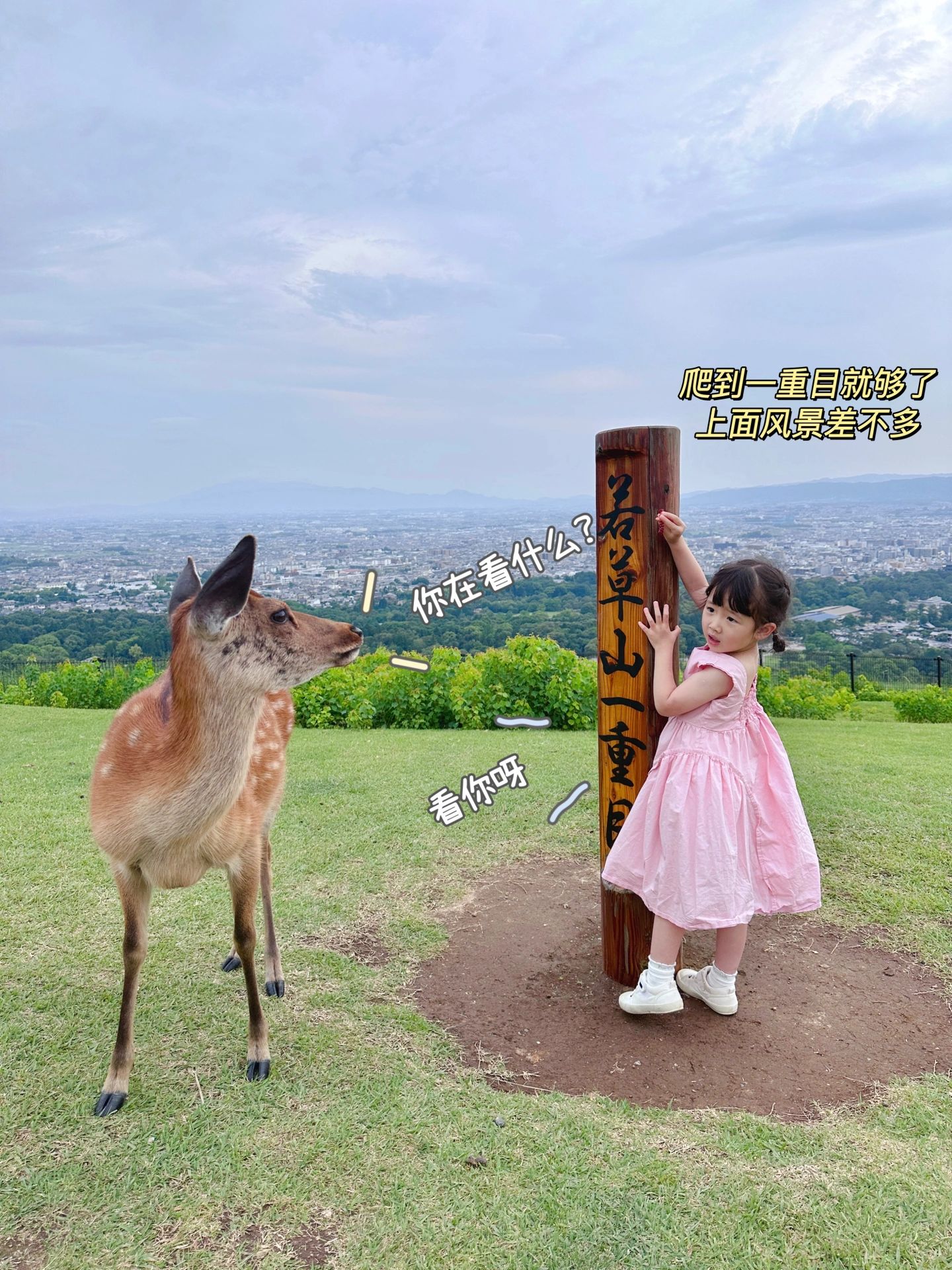 日本关西自由行注意事项,日本关西自由行详细攻略