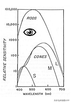 具有变彩效应的宝石有哪些,宝石特殊光学效应是什么