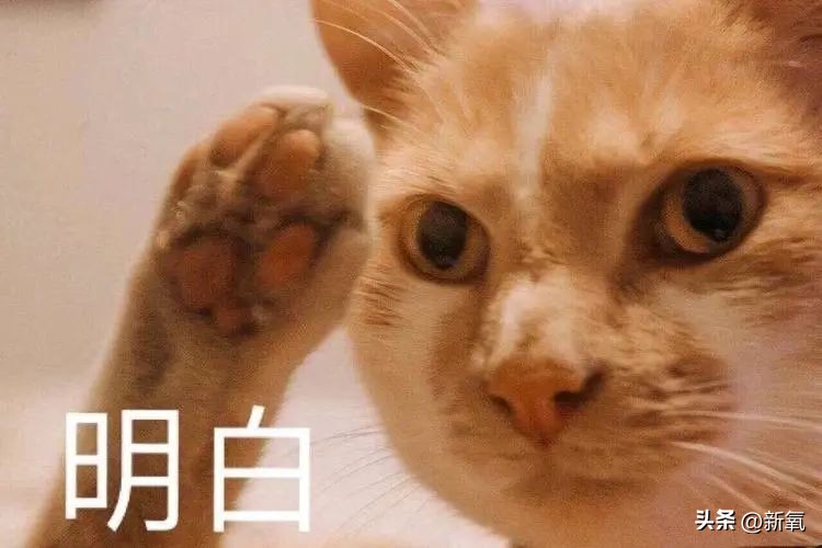 牙齿正畸和骨骼正畸的区别,牙齿正畸和眼轴增长有关系吗