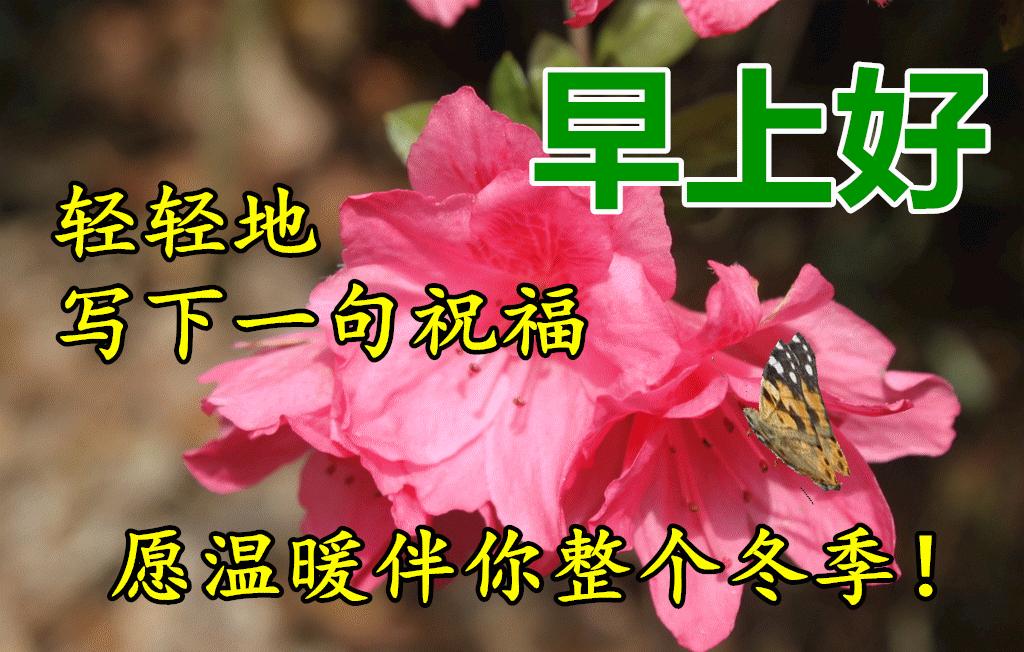 早晨阳光表情图片,秋季清晨非常漂亮早上好表情图片