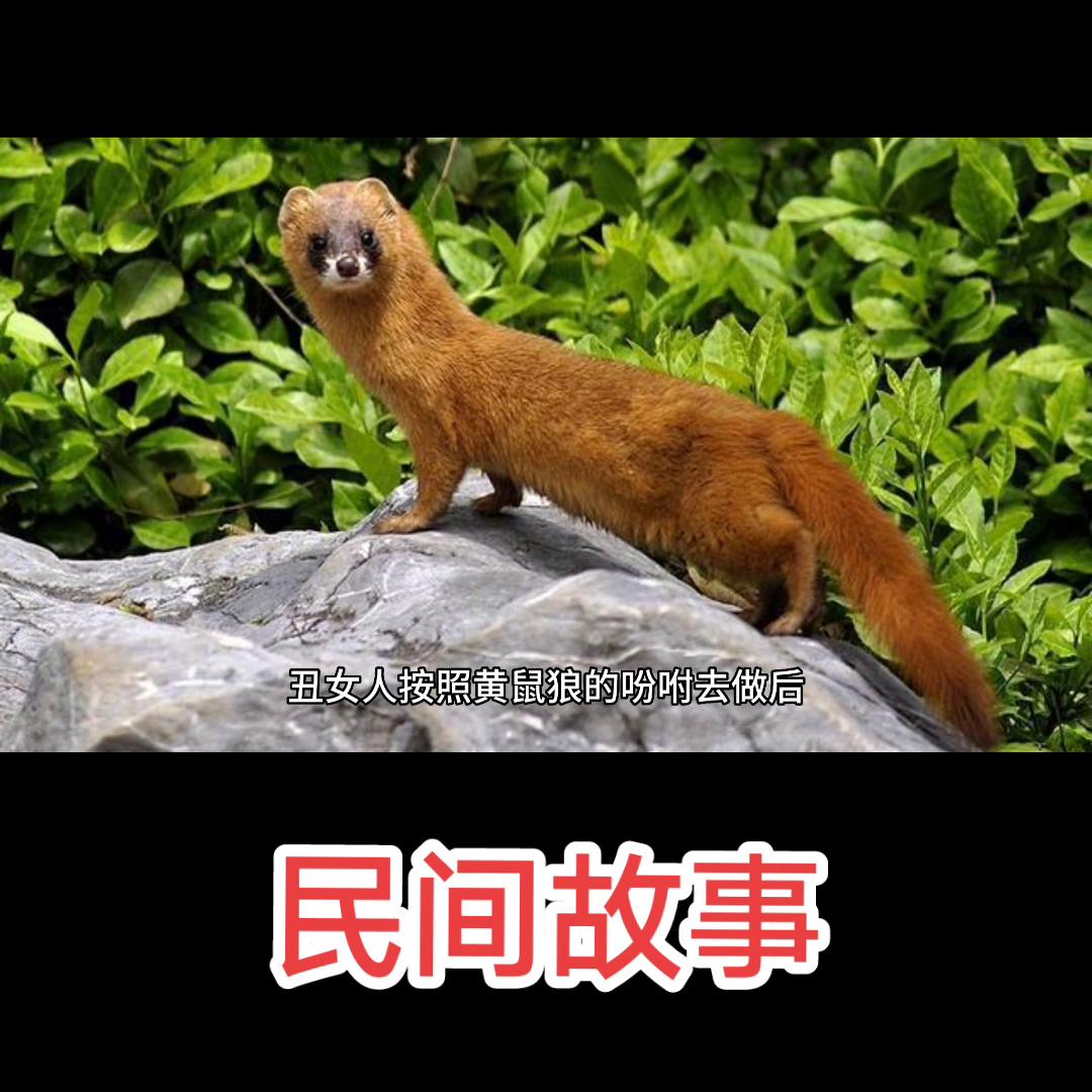 关注我每天更新不同故事,共和国故事大全