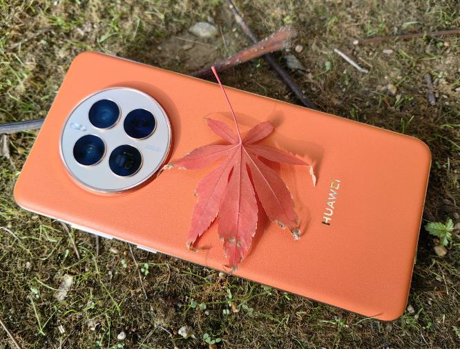 鑻规灉鎵嬫満鎴愰攢鍐犲崕涓洪檷鍐扮偣,鍗庝负鐜嬬偢