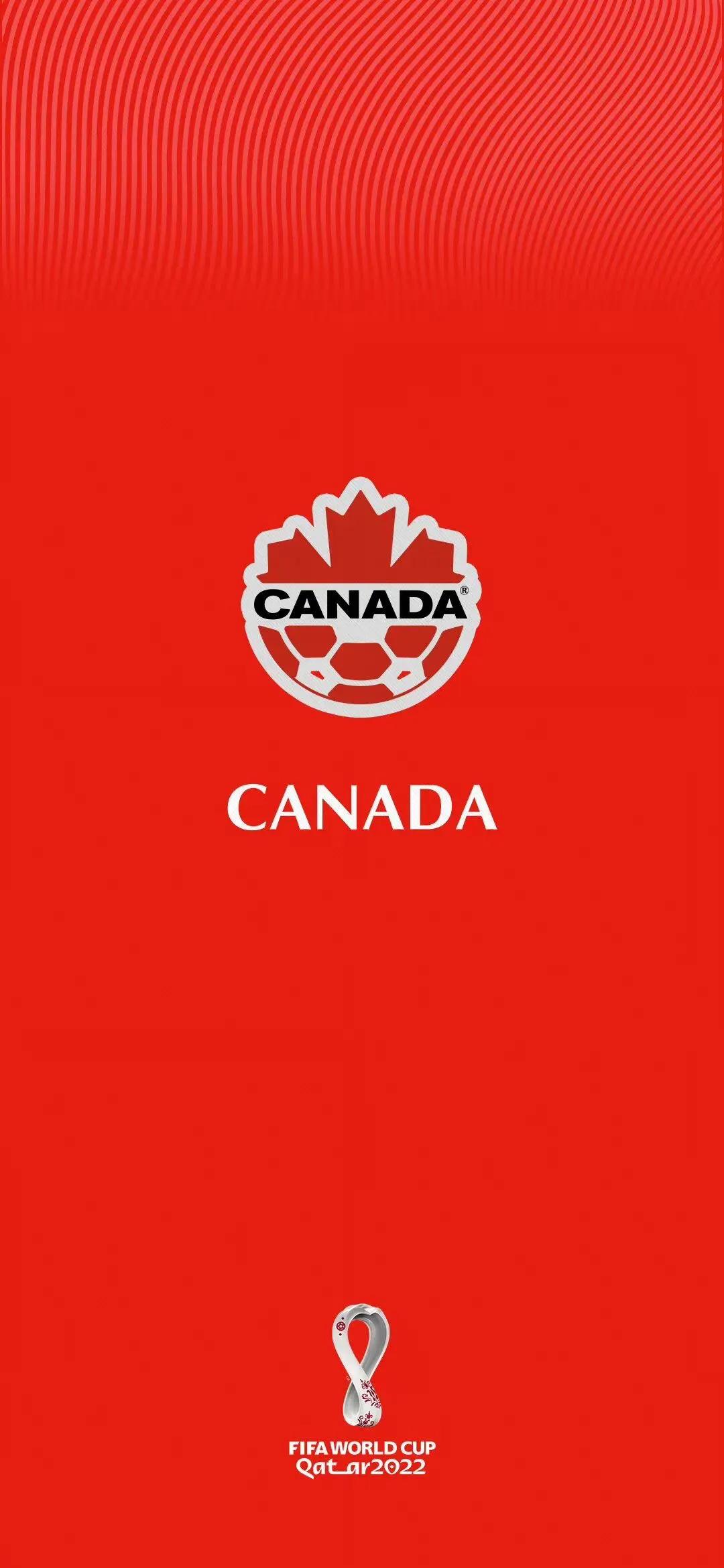 足球壁纸世界杯巴西,足球壁纸阿根廷